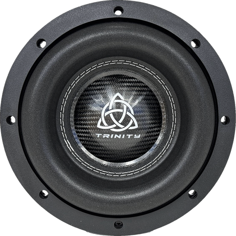 Trinity H Series 8" Subwoofer 700 Watts RMS 